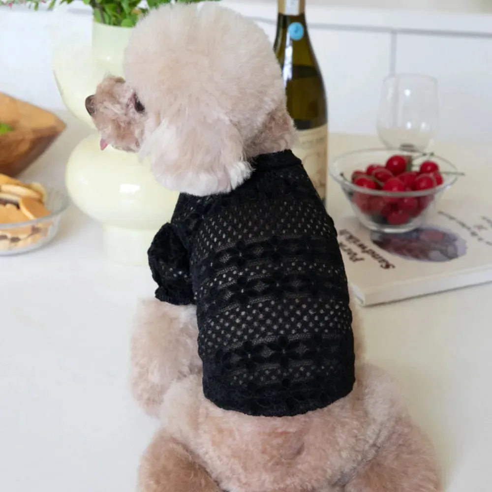 Elegance in Lace Collection: Winter Lace Lining Pet Dog Clothing - Designer Apparel for Small Dogs, Teddy Clothing, and Puppy Fashion